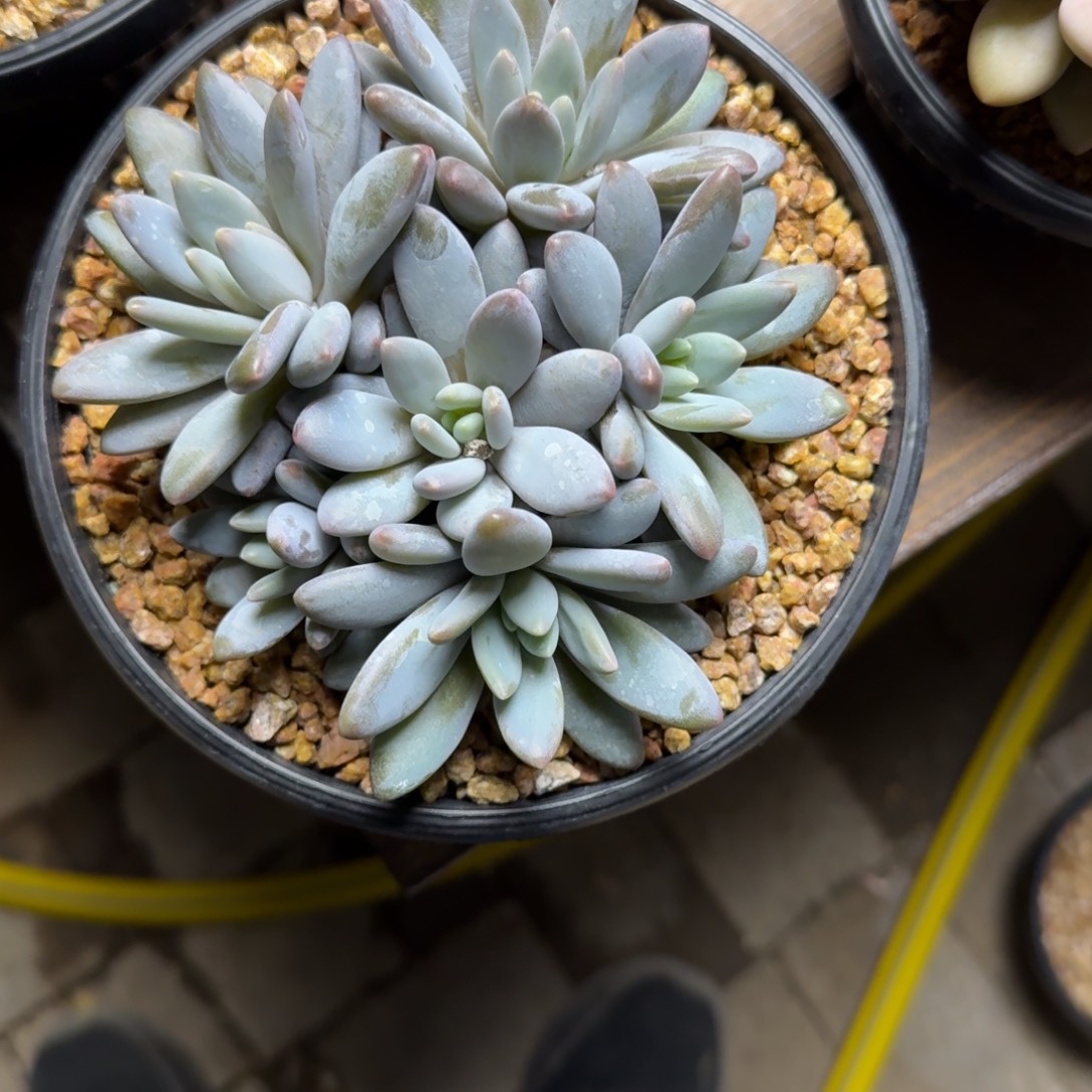 ****里1111111111111111111111