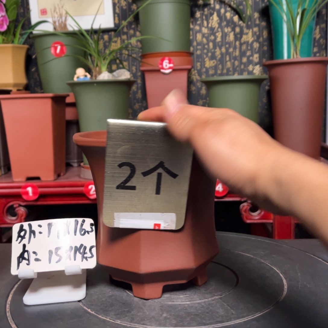 紫砂花盆紫砂花盆
