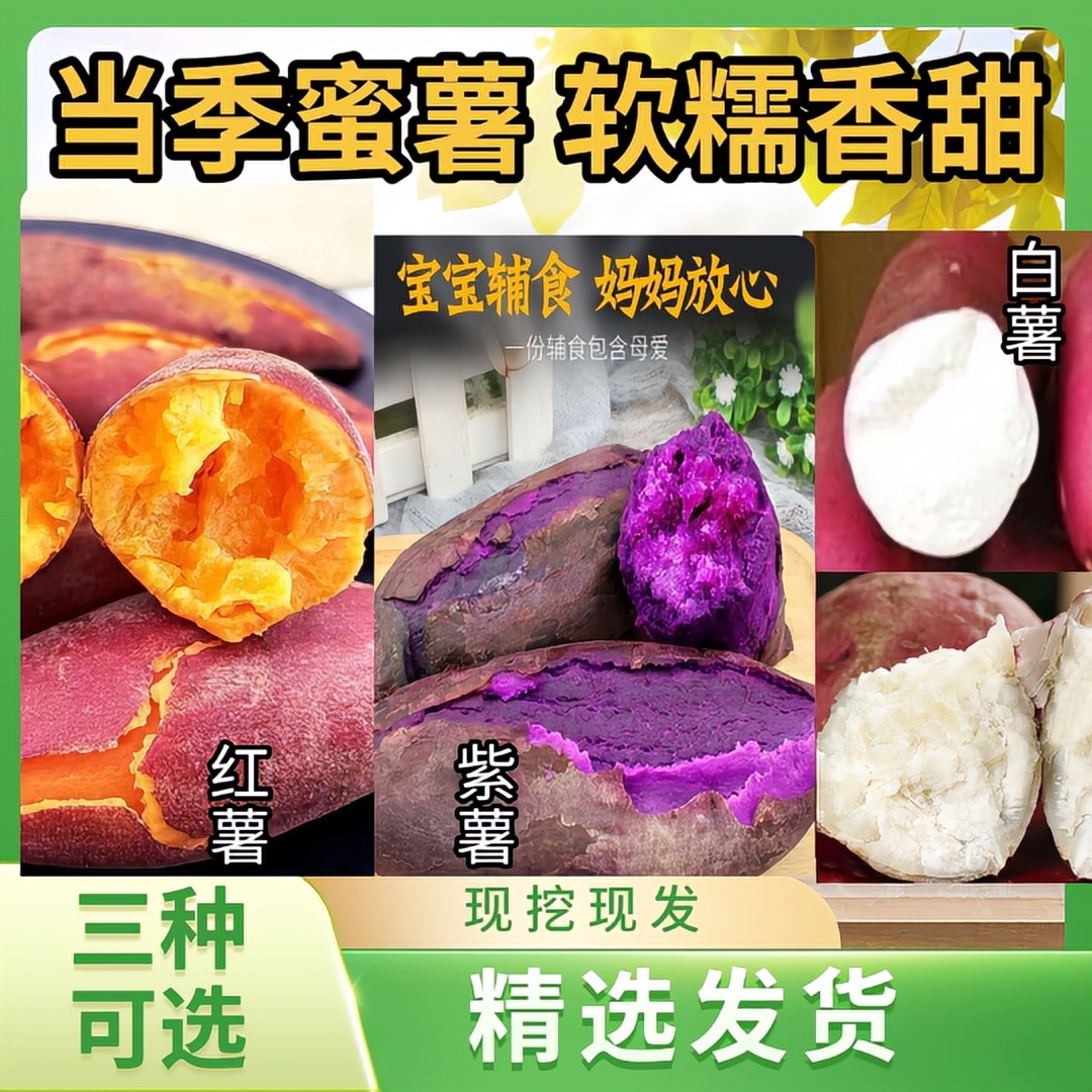 新鲜现挖紫薯白薯红薯薄软糯香甜番薯农家自种 