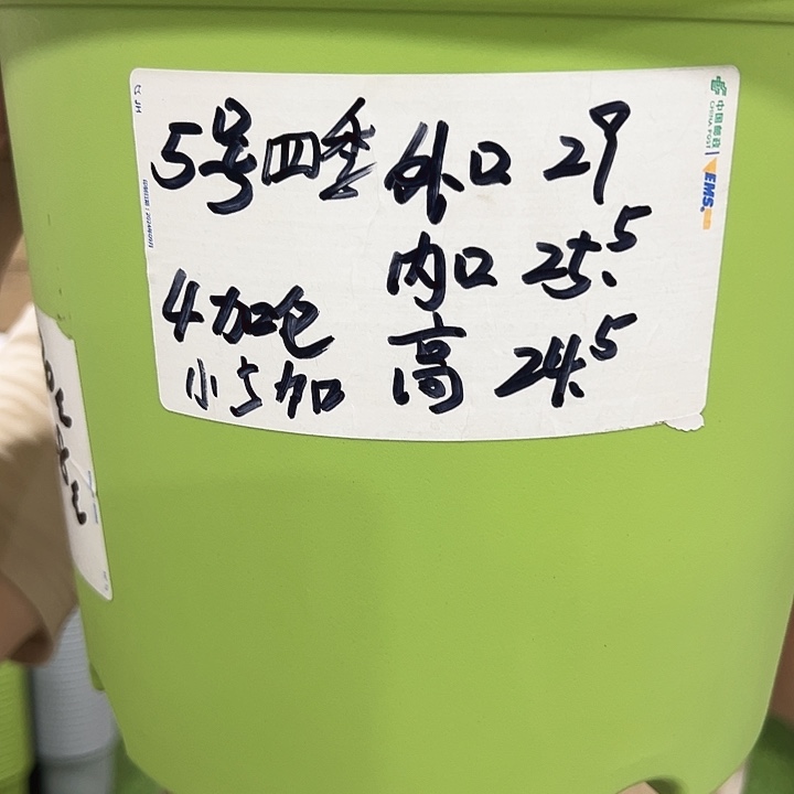 四季5号特价口29高24混色6个无托