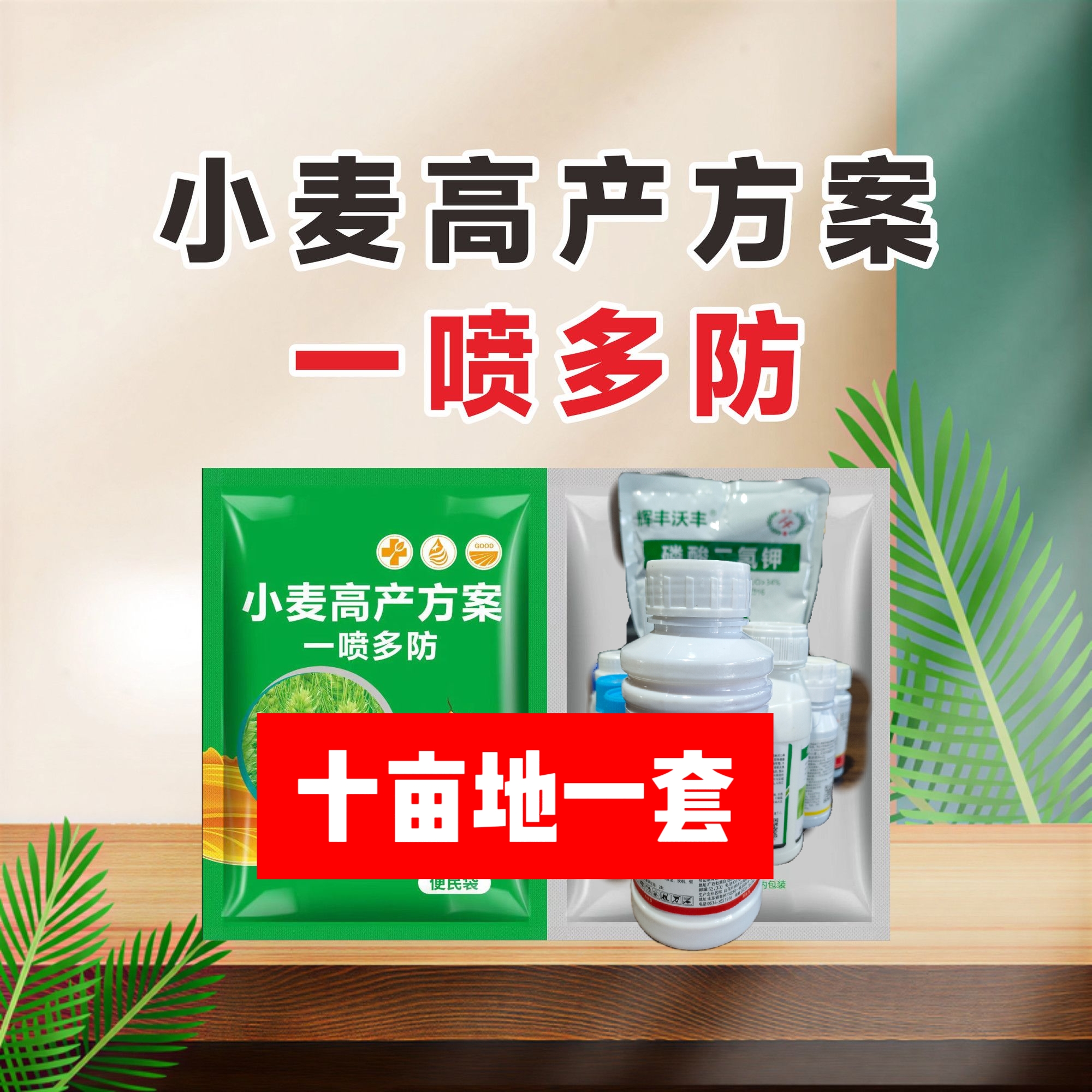 小麦增产方案叶面水溶肥一套十亩地一喷多防増产提质