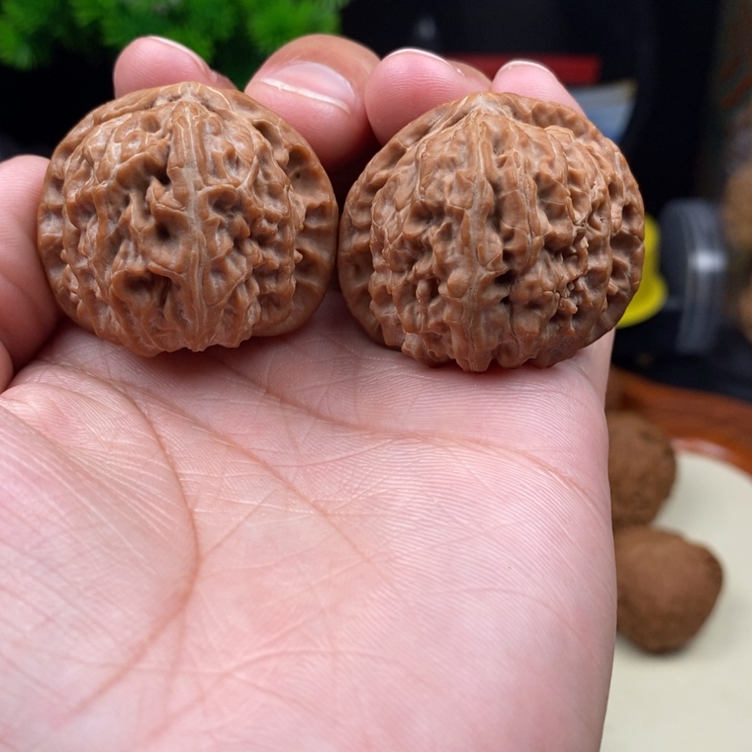 文玩核桃把件白狮子39