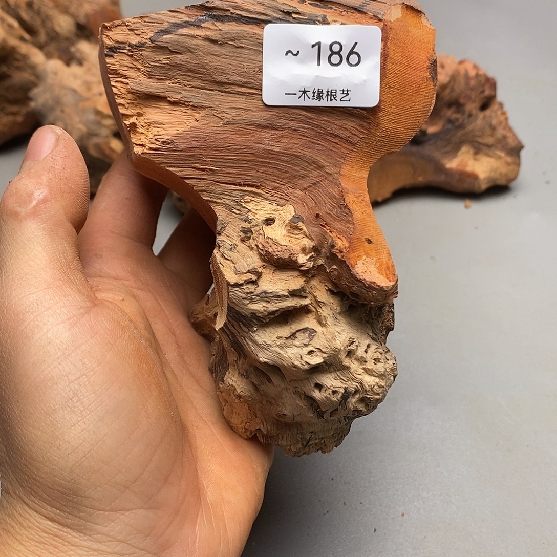 由***运无花朵         186