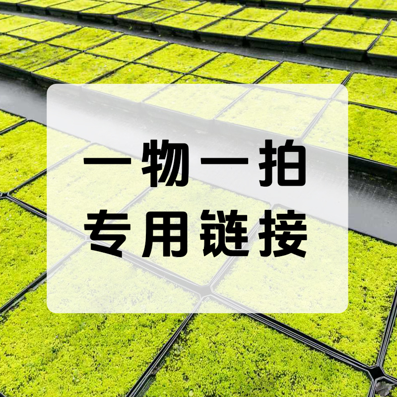 大平方一物一拍苔藓专用链接