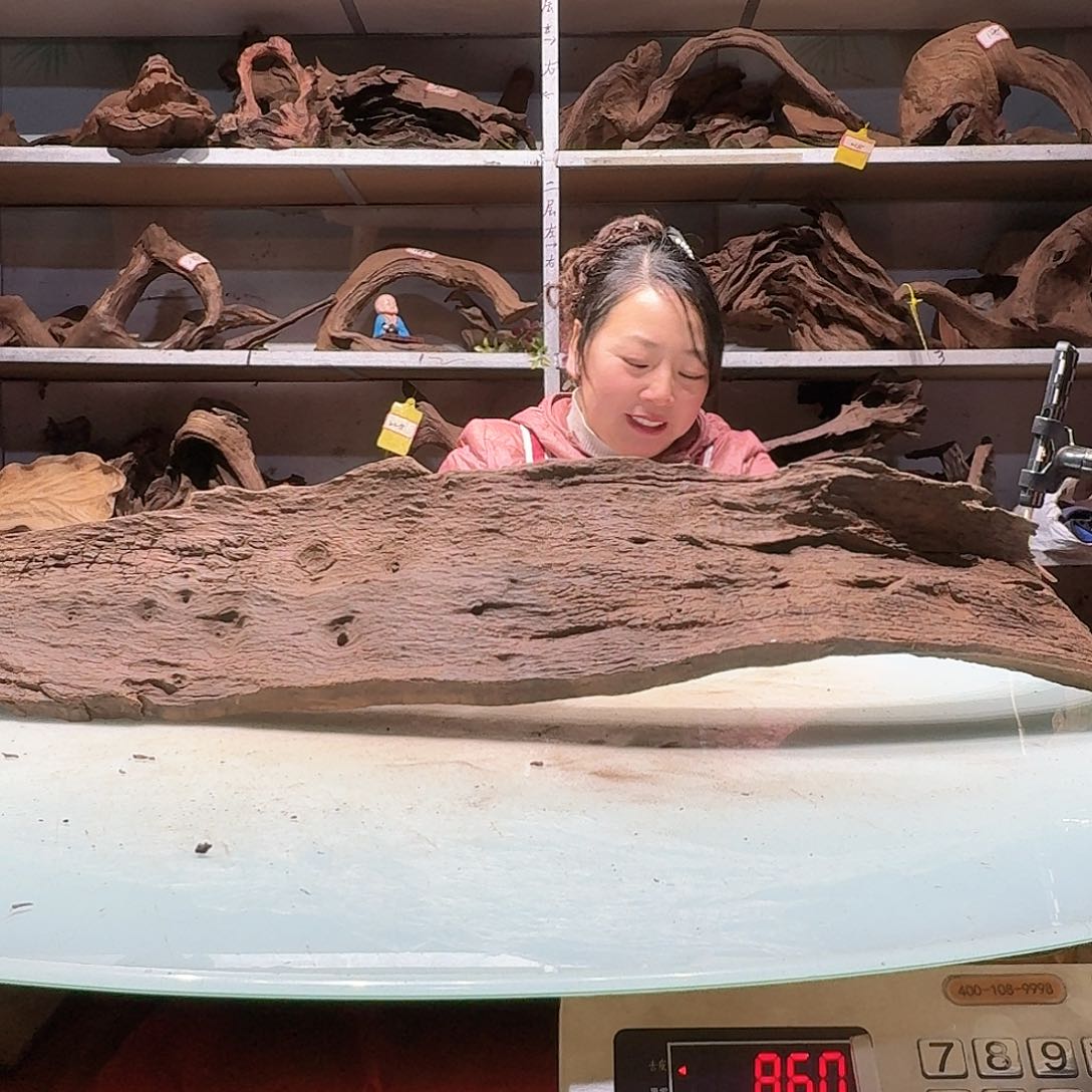 倍诸沉木不包损必褪色江*生6835