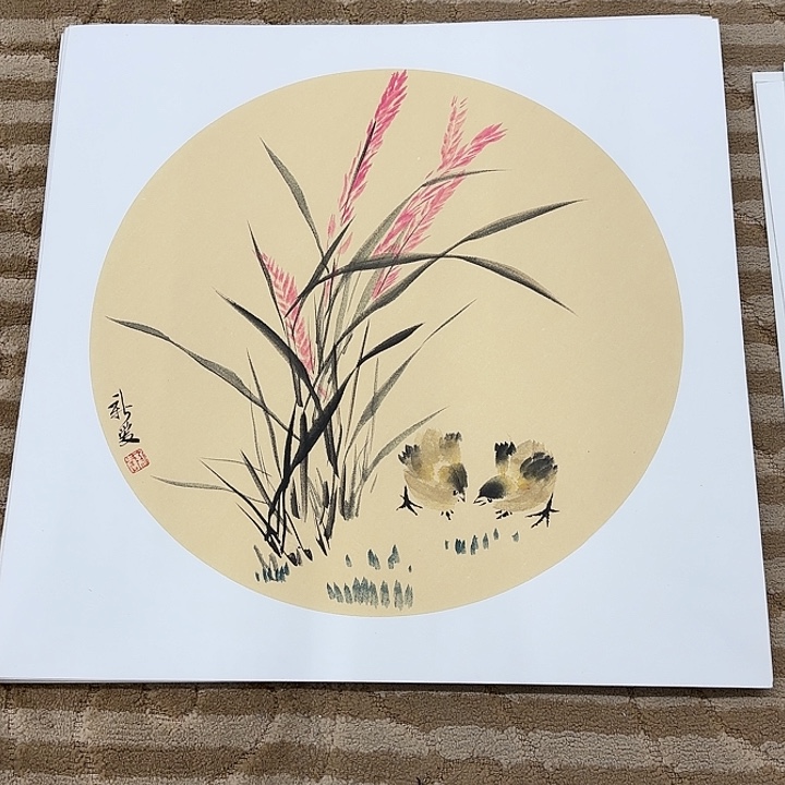国画花鸟的翅膀和翅膀50.50
