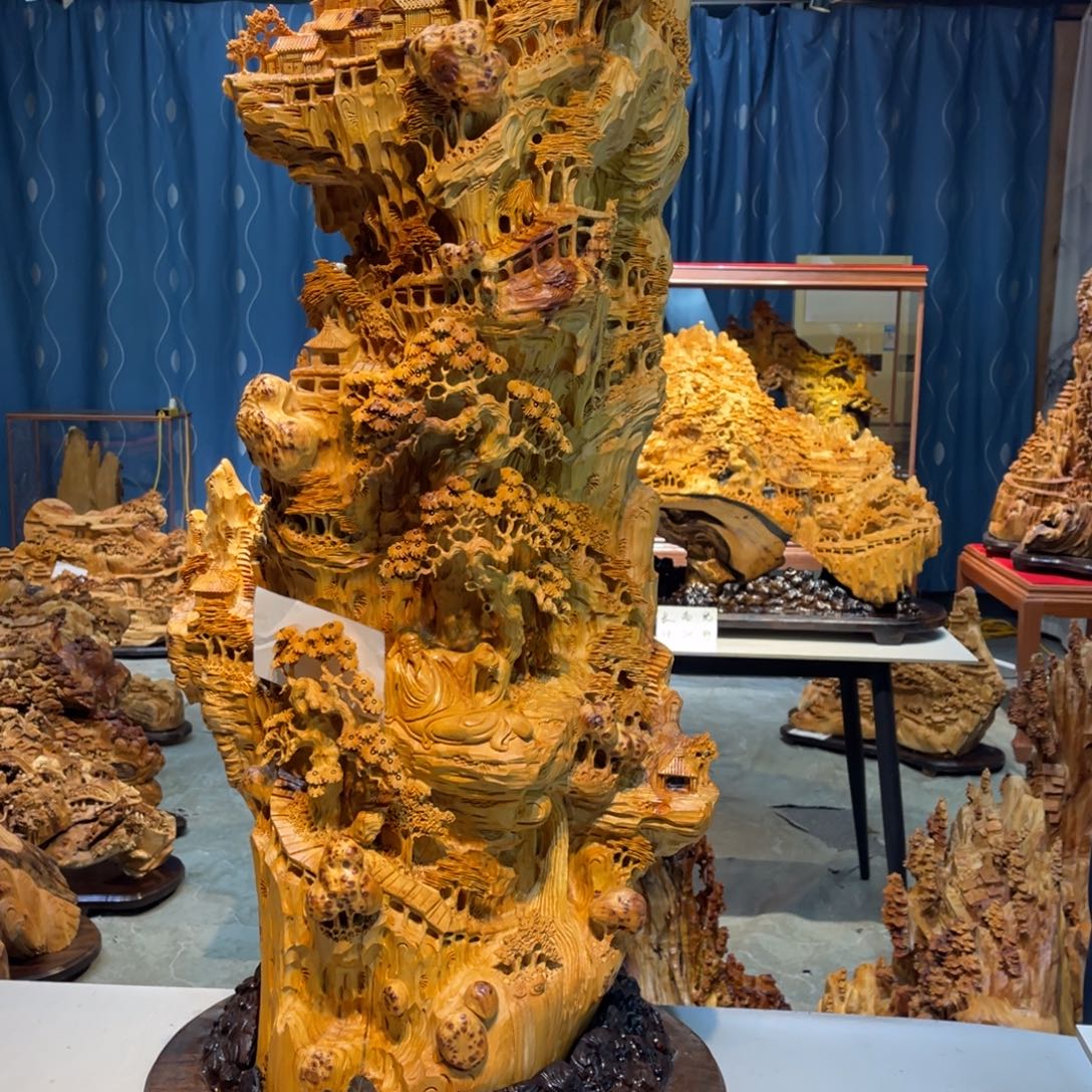 春***光柏木崖柏1111111111