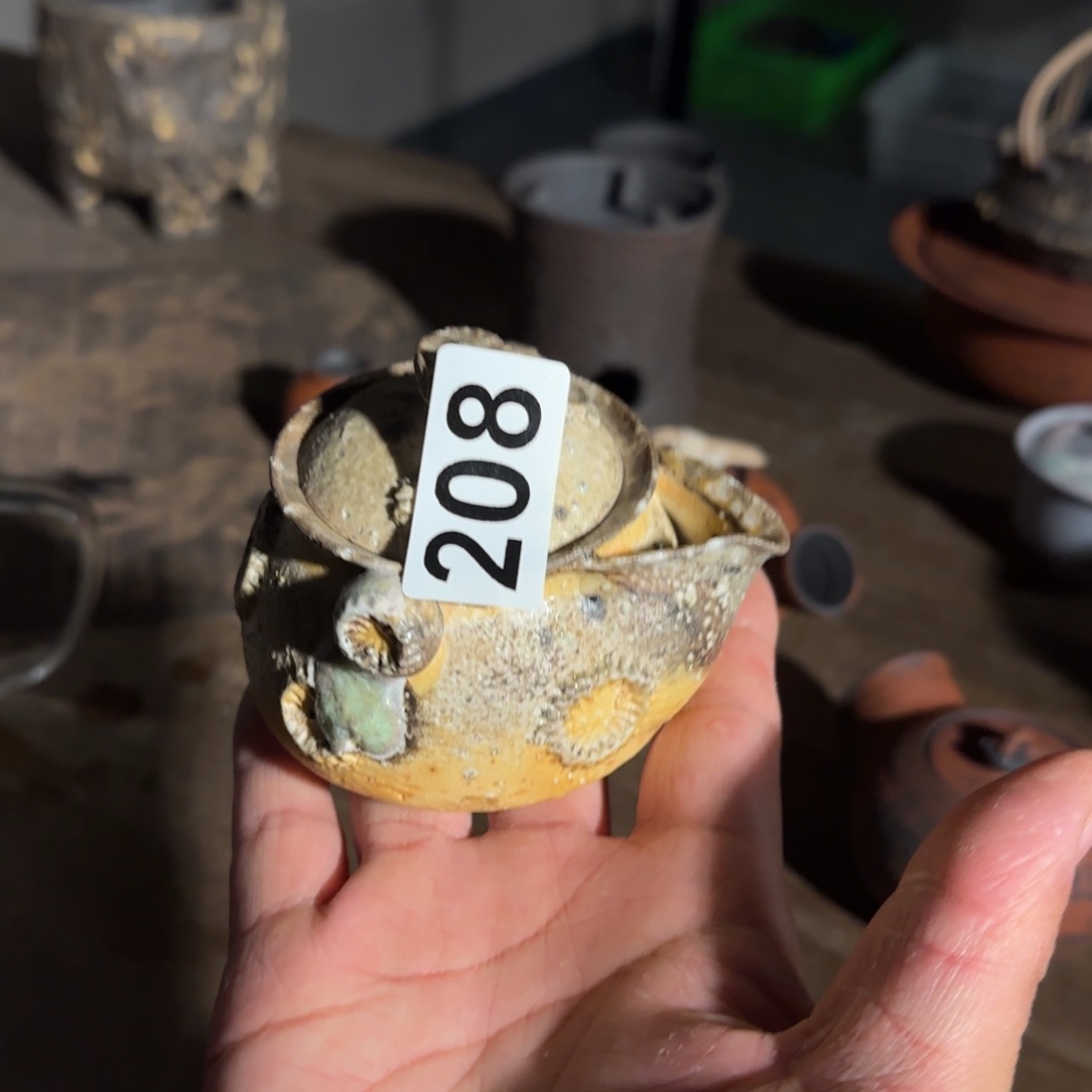 杯小**学朋友福利小年快乐