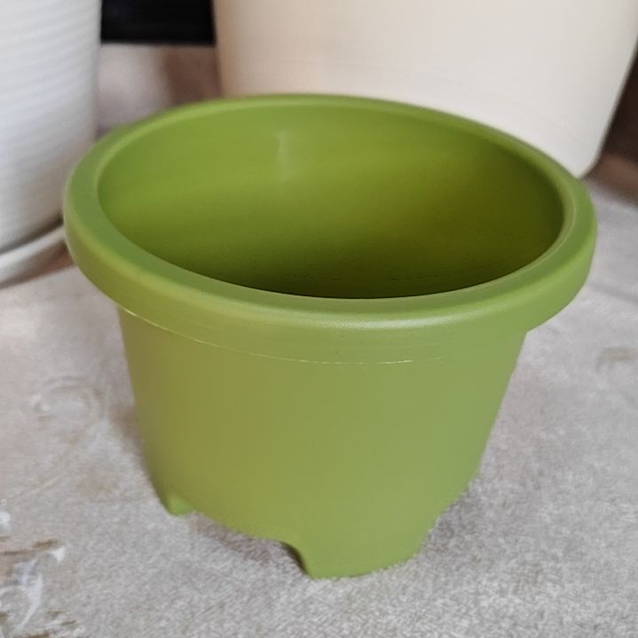 树脂球根一号外口径16.5，果绿无拖5个