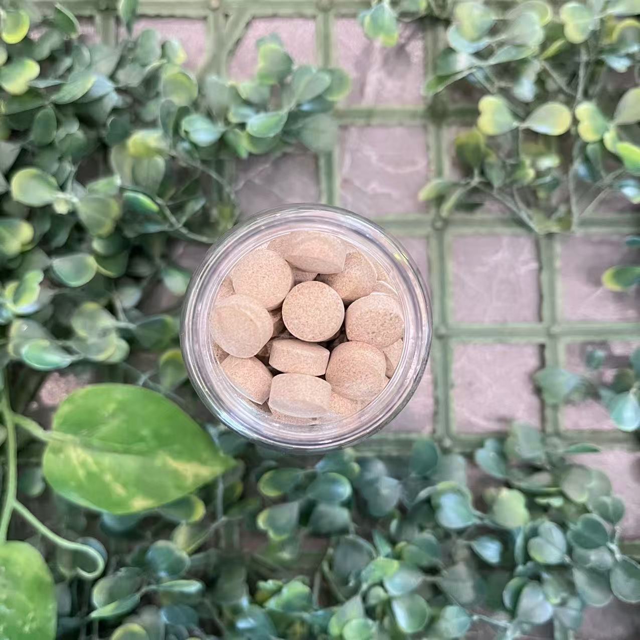 雨腾古茶 北X和“ 诸X百S X复 ”J华 绝S 60g/罐（12月25）