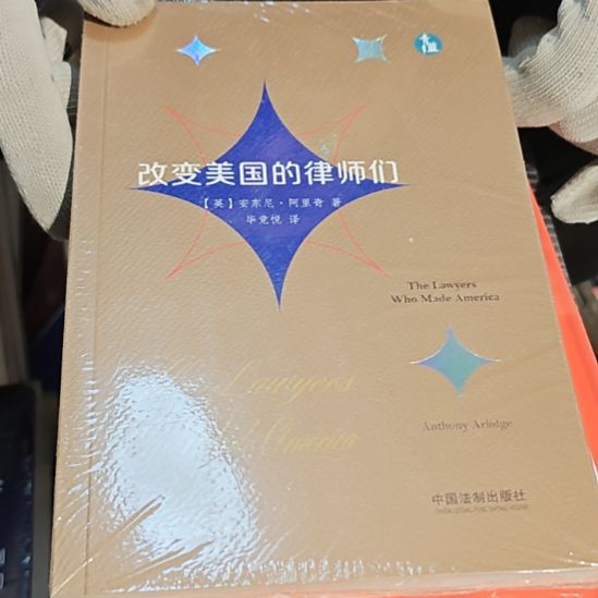 改变美国的律师们平装库存书