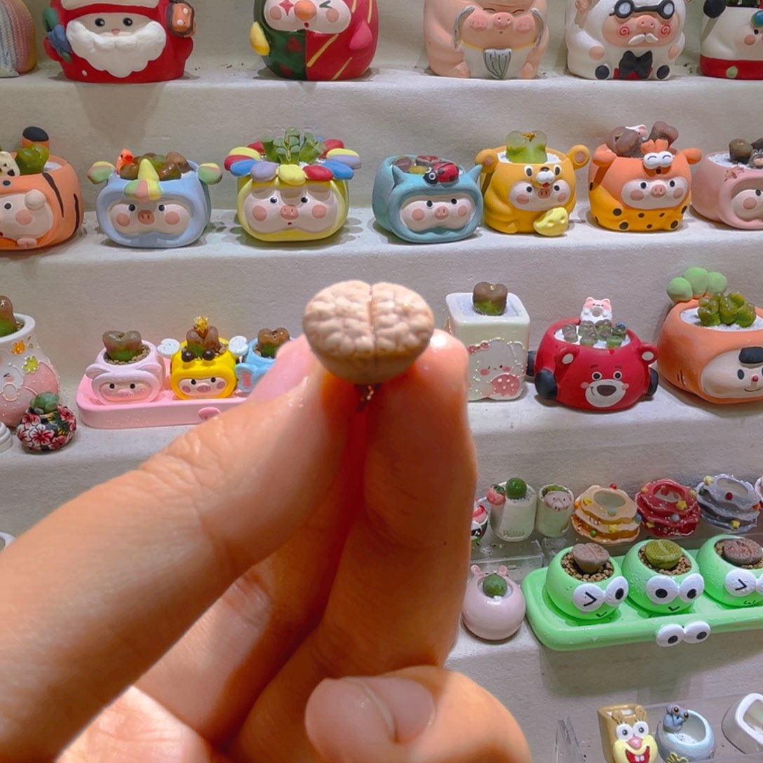 懒**梨酱梨宝宝专属链接拍拍