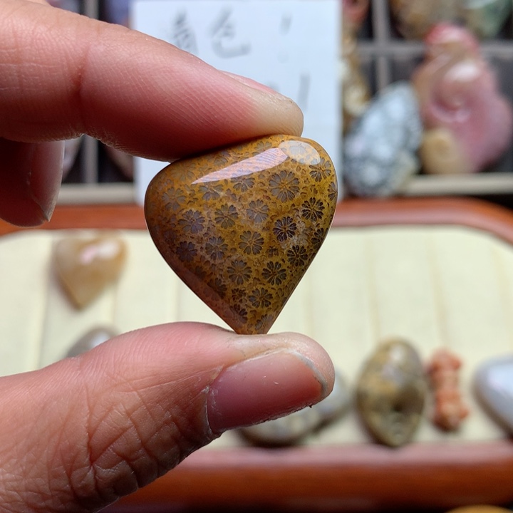 硅化珊瑚（珊瑚玉）颈饰足银镀金镶嵌