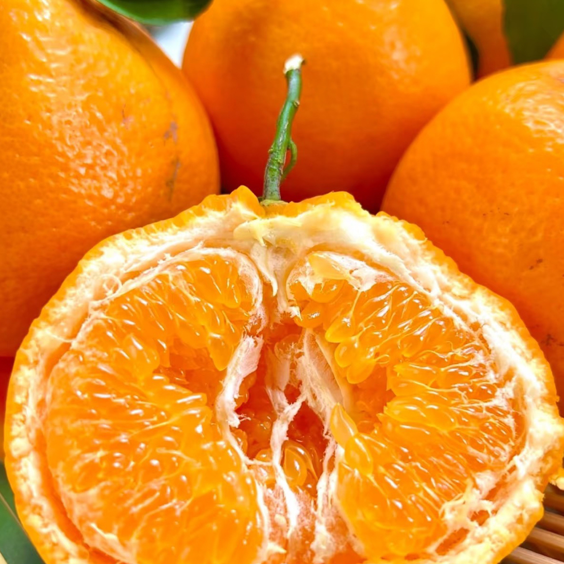 （2025年首票） 春见粑粑柑一箱6斤 九甜一酸。四川省