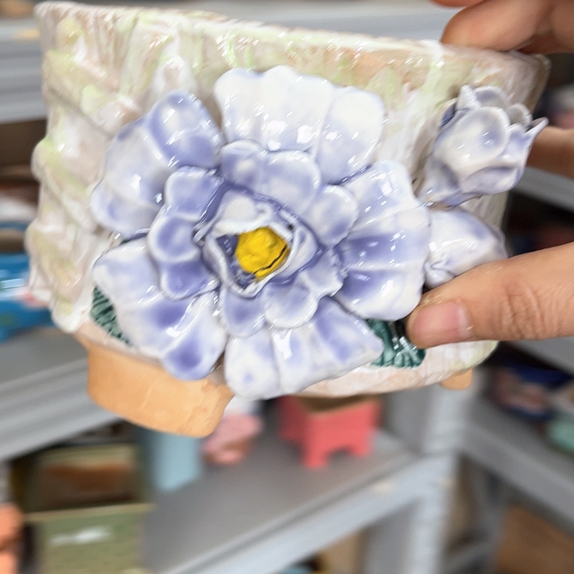 【闪购商品】红陶福利