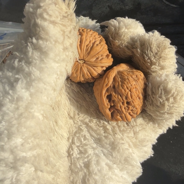 吊坠文玩核桃平底锅35