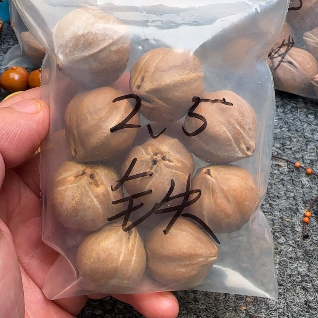 吊坠橄榄核2.5白霜铁核
