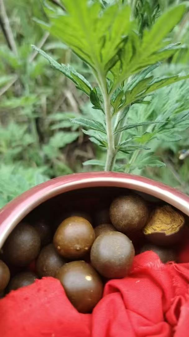 【莎莎专属土特产】牛 簧菇整个
