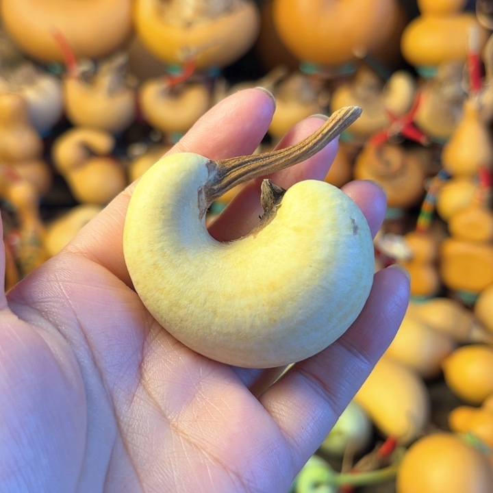 叚***偭微瑕葫芦处理不退不换