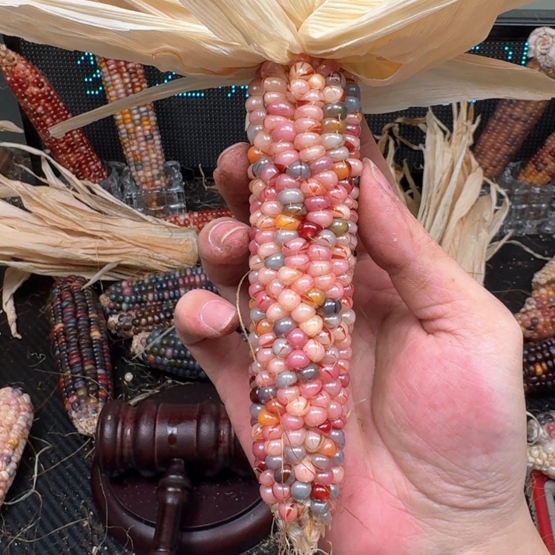 柏香籽/百香籽吊坠小*