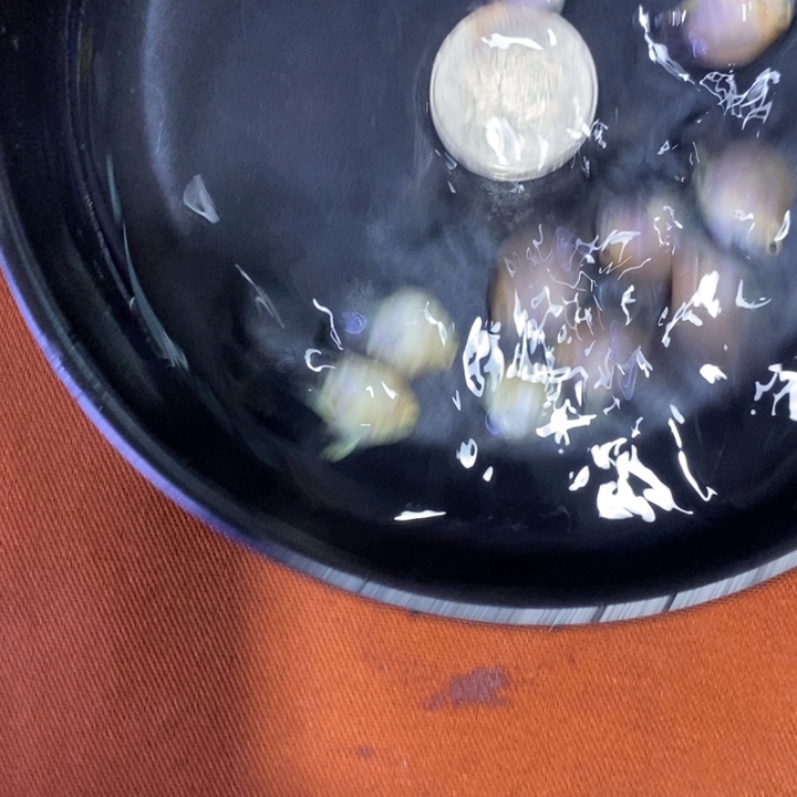 鹦鹉鱼粉色一组六条包邮