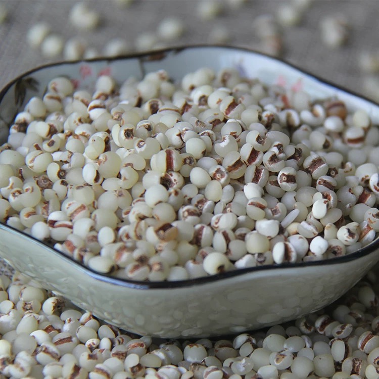 张小妹 现收 薏仁米 滋补养生 营养丰富 精选山货