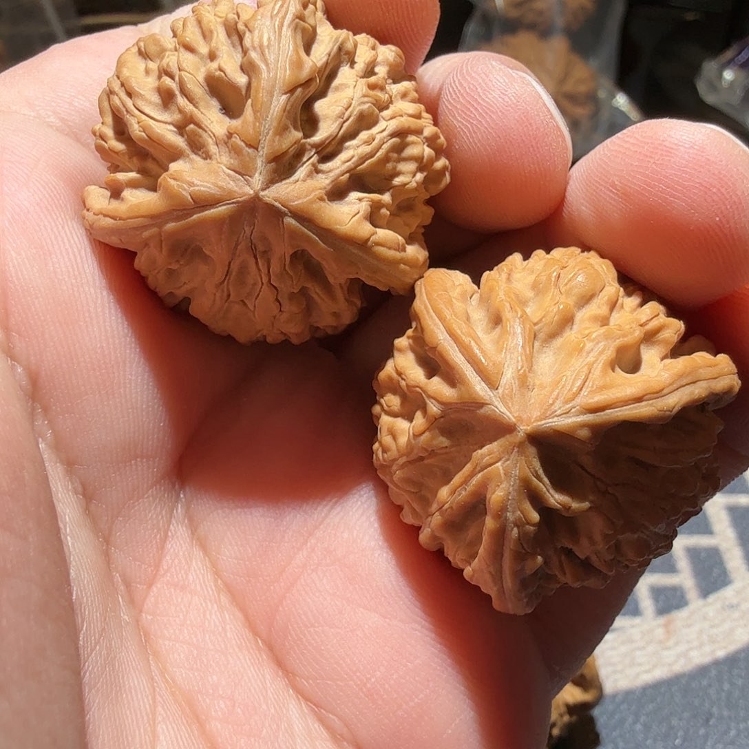 文玩核桃把件*️御龙正奔