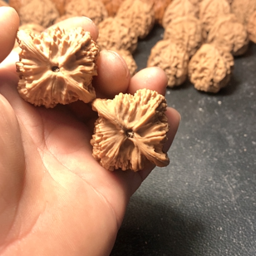 【闪购商品】C****戒红狮子