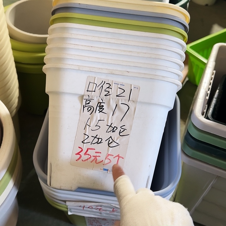 方21口径5个无托白色新款