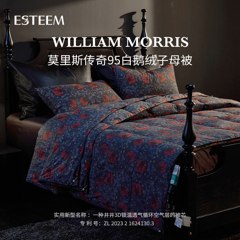 ESTEEM/宜庭莫里斯传奇可水洗鹅绒子母被