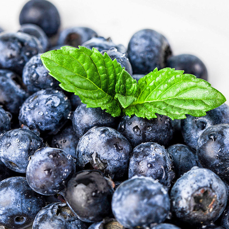 【顺丰/京东】云南红河蓝莓现采现摘基地直发