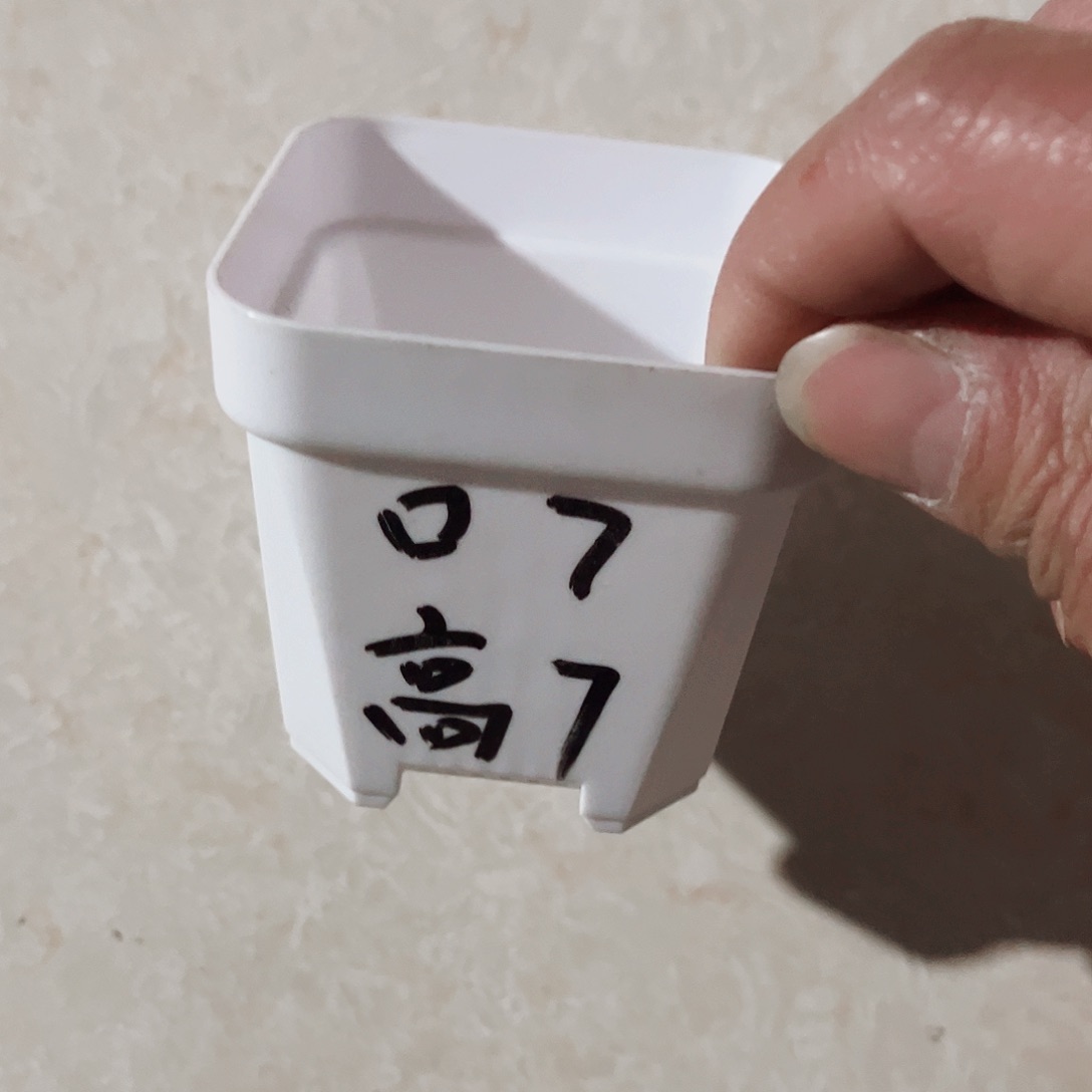 塑料加厚矮胖7方白色盆30个无托