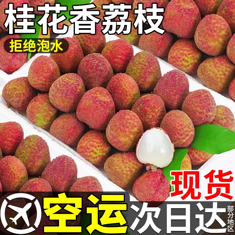 【明日必达】25年海南头茬荔枝桂花香荔枝现摘现发 净重2.5斤 礼盒随机发 顺丰快递｜ZB海南省