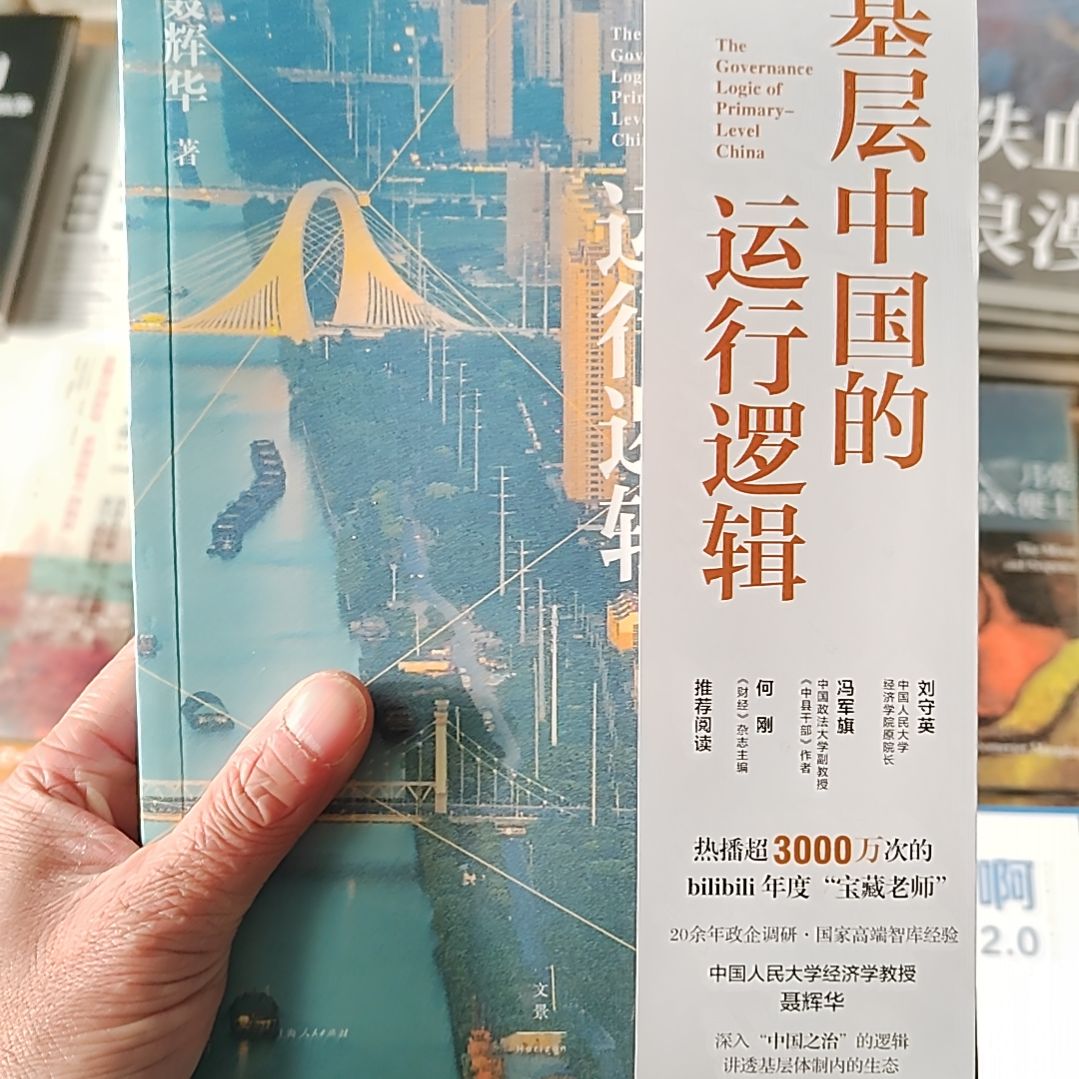 基层中国的运行逻辑