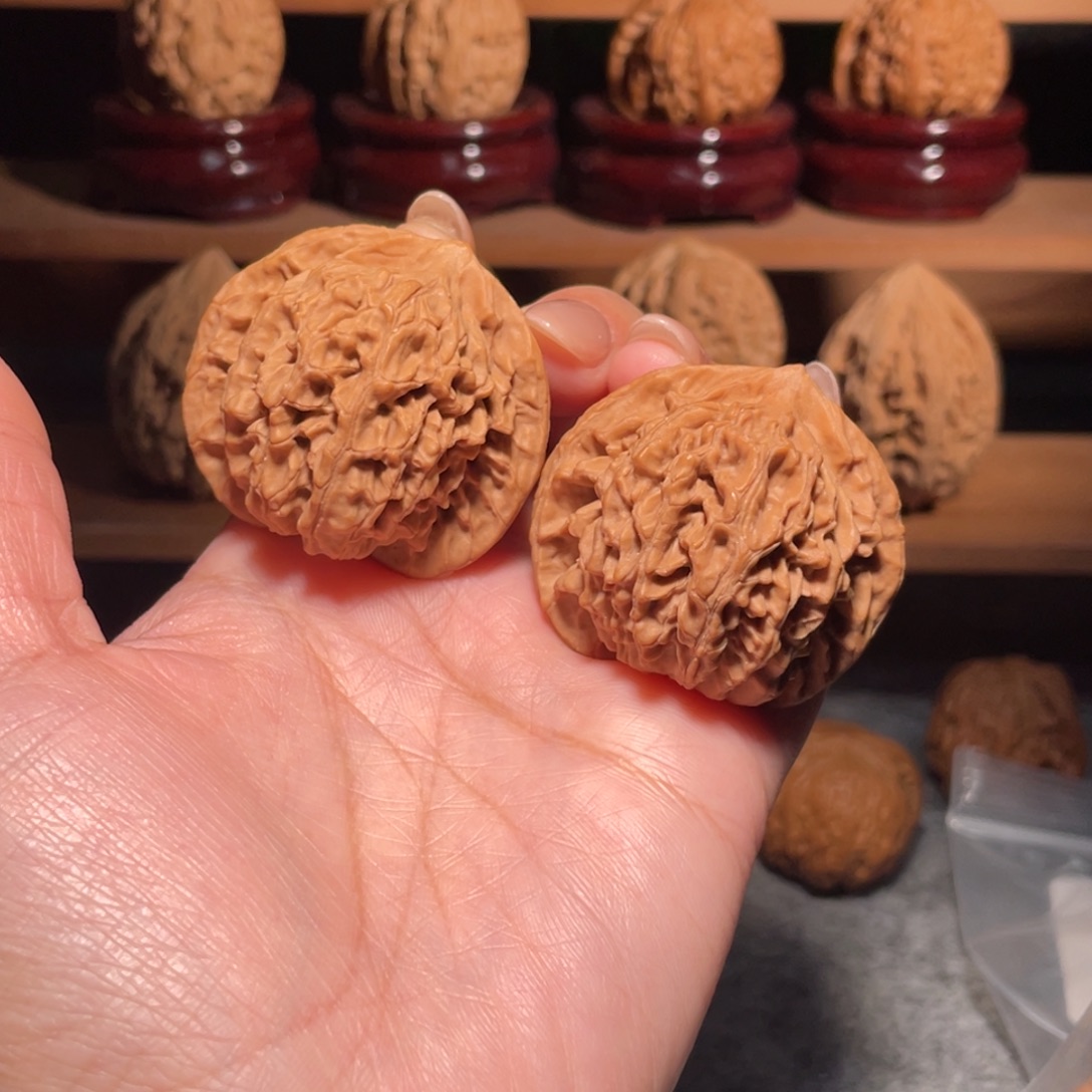 山西盘龙纹全品40