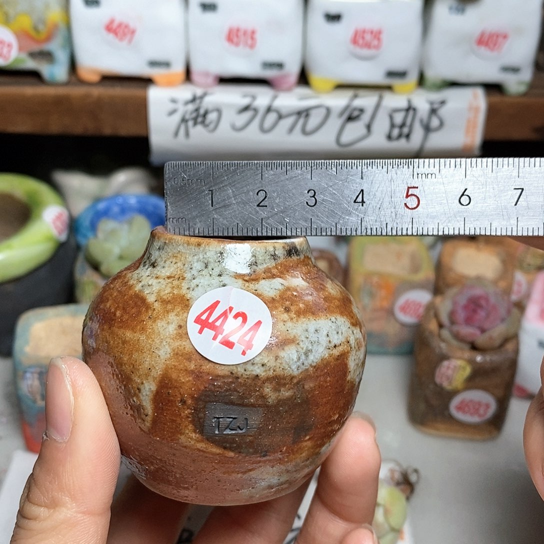 红陶拍5送一个小