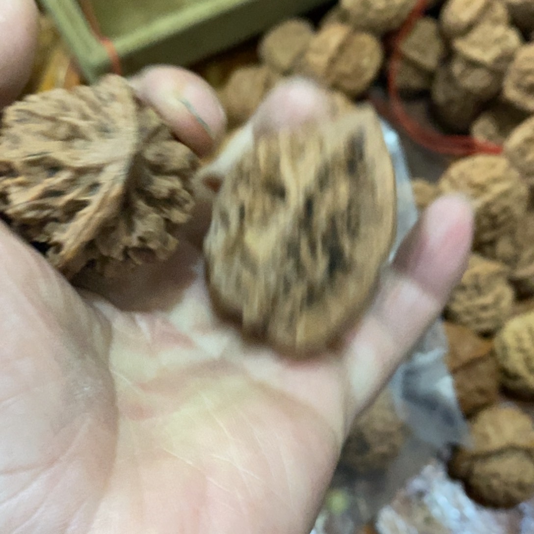 秦岭南北区一座城市一