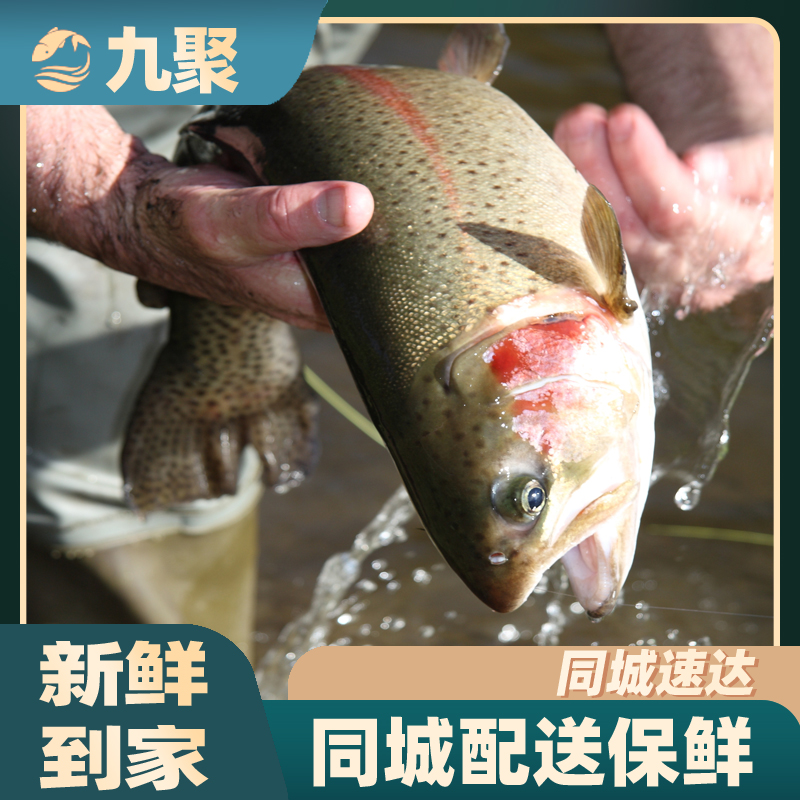 新疆虹鳟鱼（活鱼-宰杀处理好送出）±800g