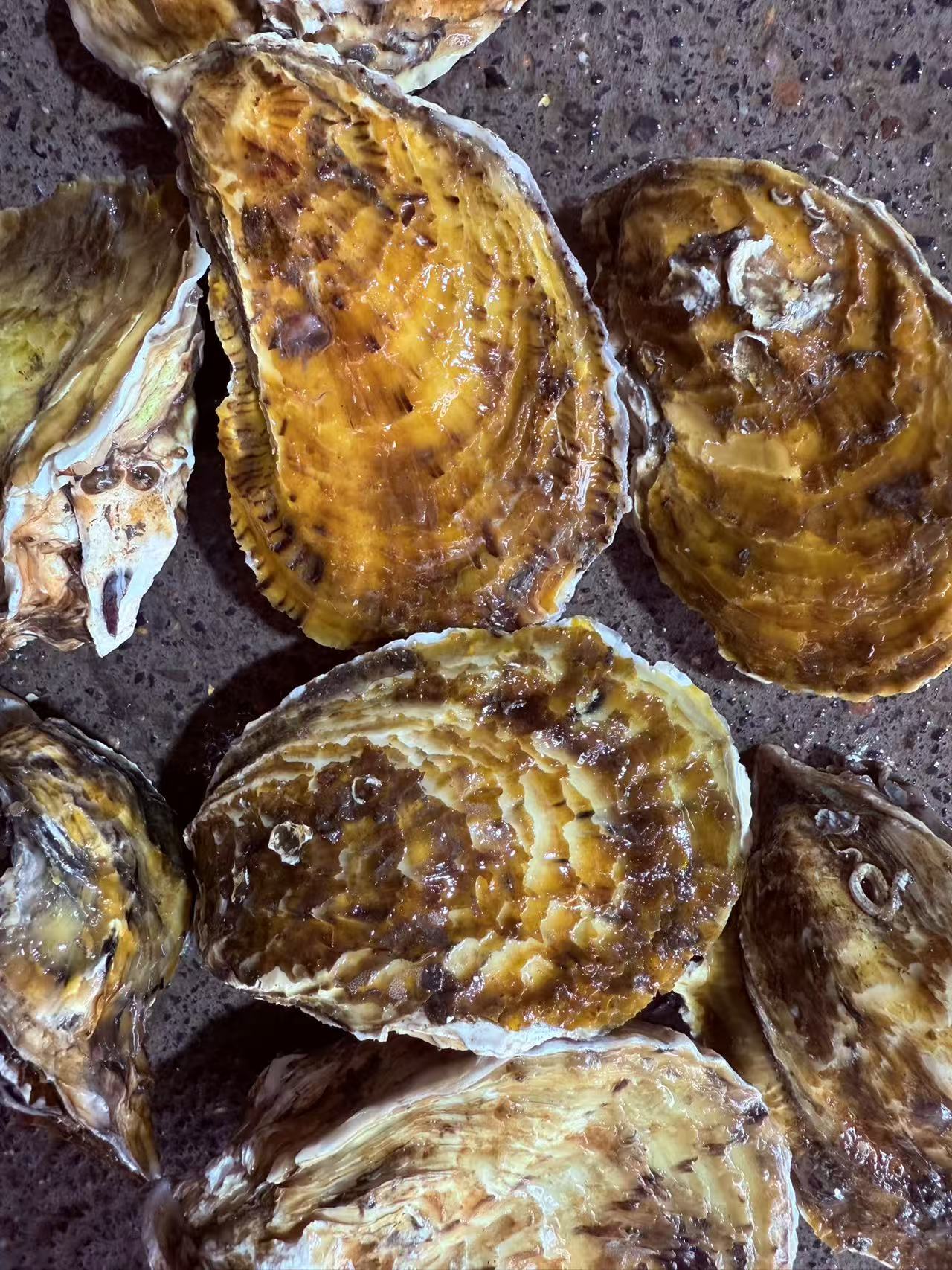 【大龙亲选】新鲜海蛎子（生蚝）五斤