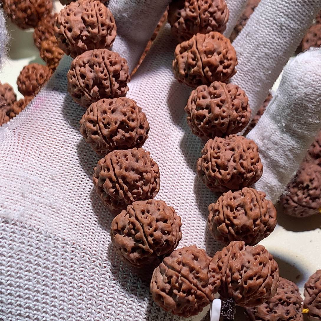 万***在吊坠金刚菩提原生态卡22尺寸，桩高18，古龙头货➕