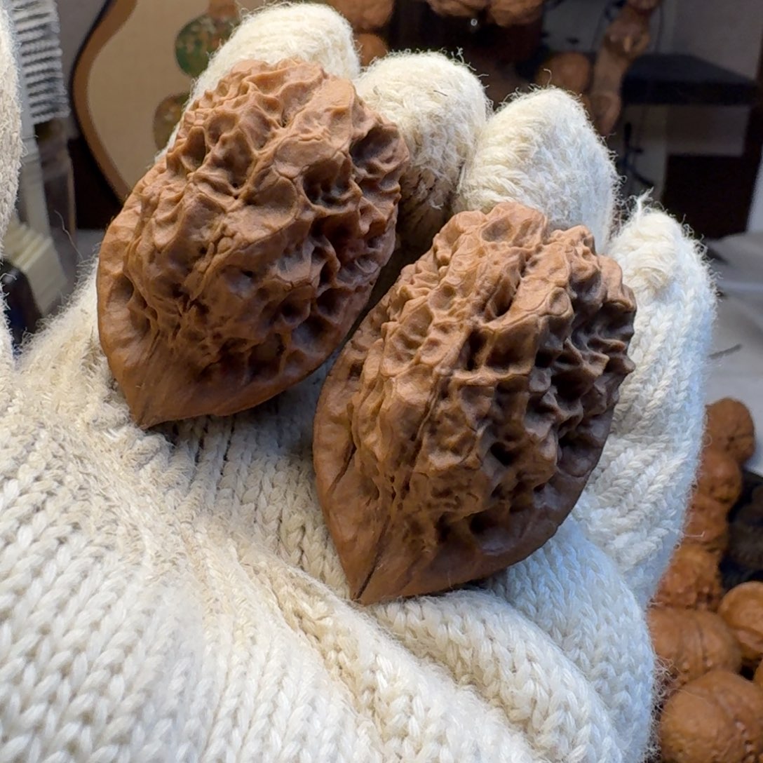 文玩核桃把件毒蟾40.1