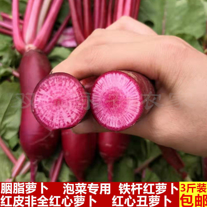 四川红心萝卜新鲜胭脂红丑泡萝卜血萝卜心里美泡菜上色红皮红心