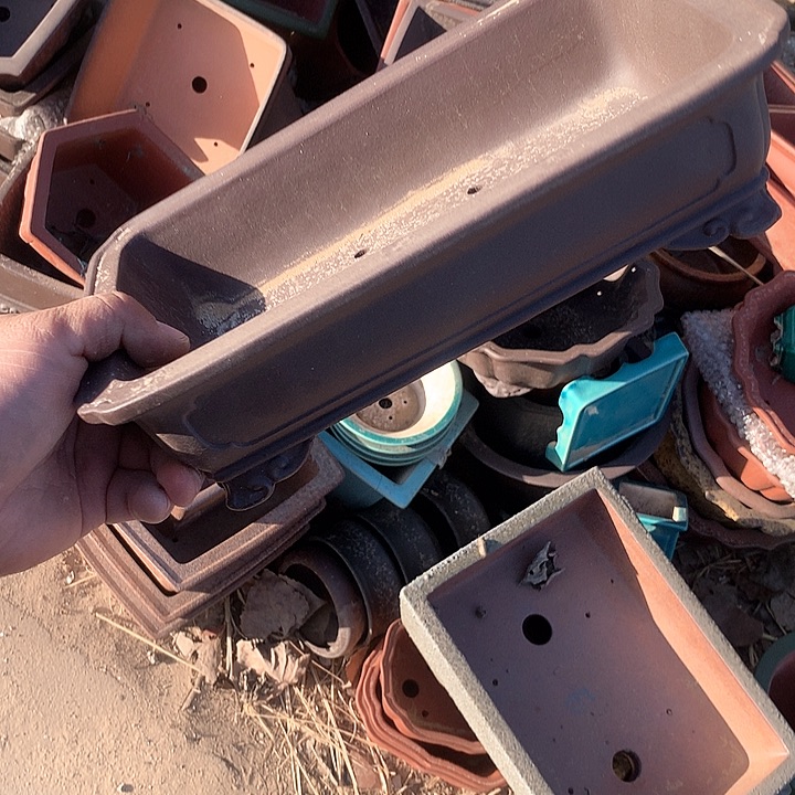 紫砂哈哈真的是太给力太多