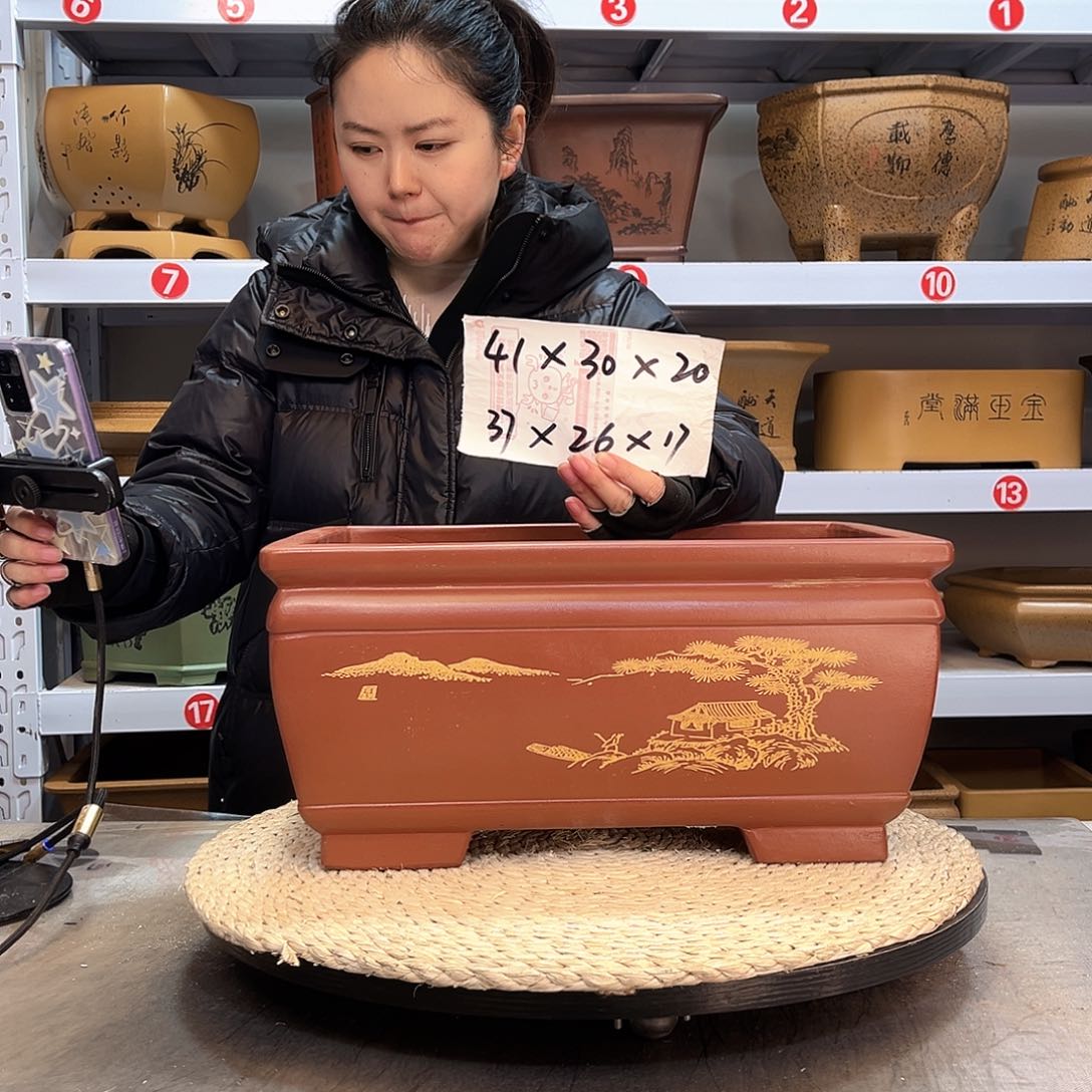 紫砂花盆紫砂花盆