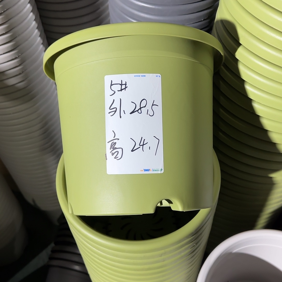 树脂微瑕5号6个无托，果绿