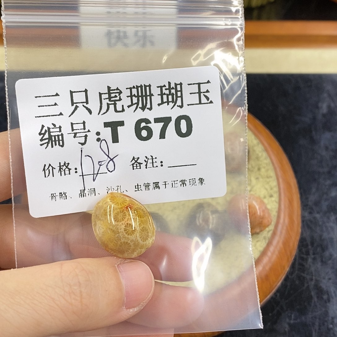 硅化珊瑚（珊瑚玉）1未镶嵌灵**蜜