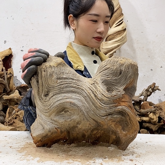 龍***轩柏木我们都是好孩子