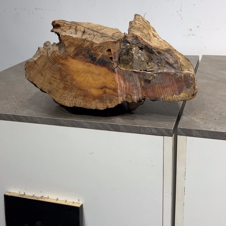 k***f柏木崖柏等自然资源和生态资源