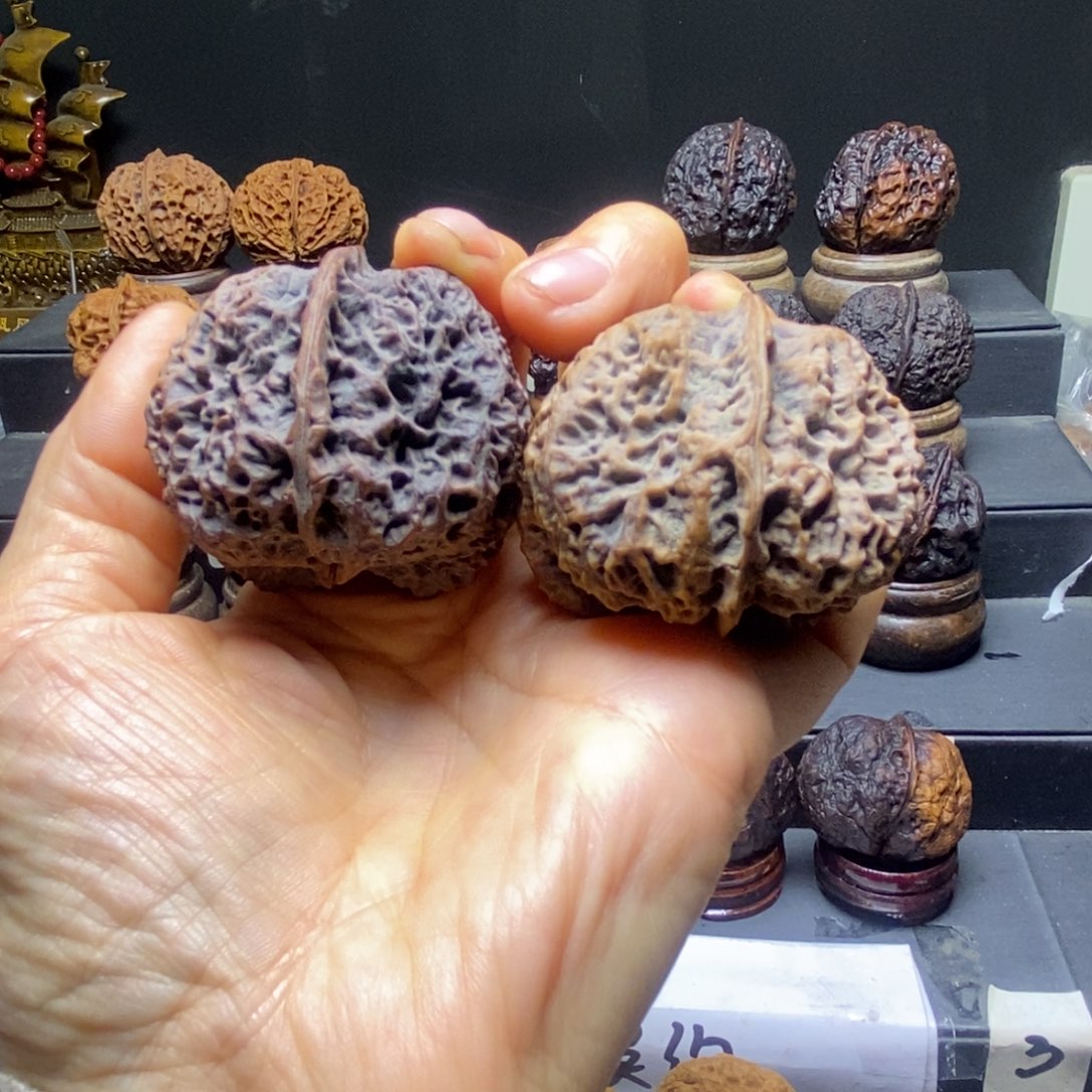 威***室苍山神鹰46天尺寸云铁