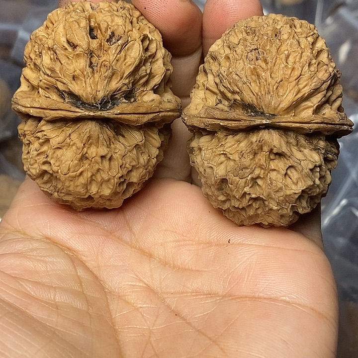 文玩核桃把件云南铁核桃52